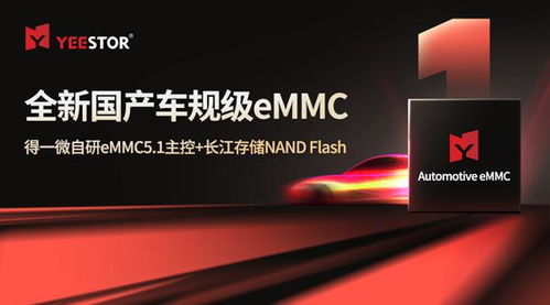 CFMS2024 存儲走向中央，得一微與晶科微電子持續開拓新篇章